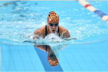 Natation Niveau 2