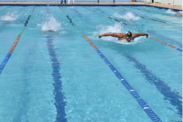 Natation Niveau 4