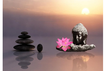 Vita Zen